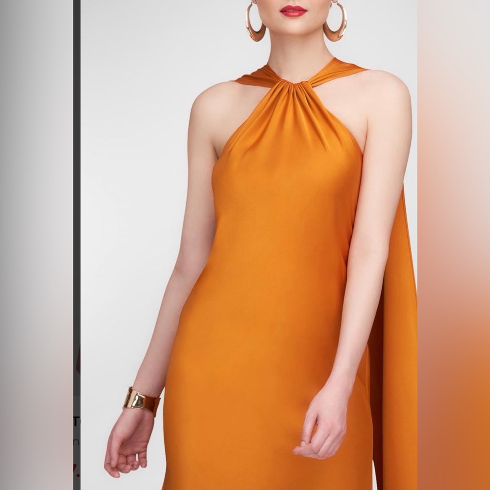 NEW Halston Heritage Satin Reta Cape Maxi Dress Gown Sz 2 - Picture 4 of 11